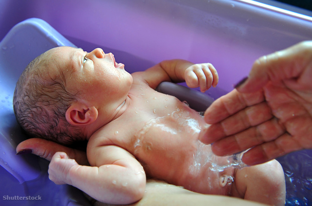 Az újszülöttek fürdetése (videó)