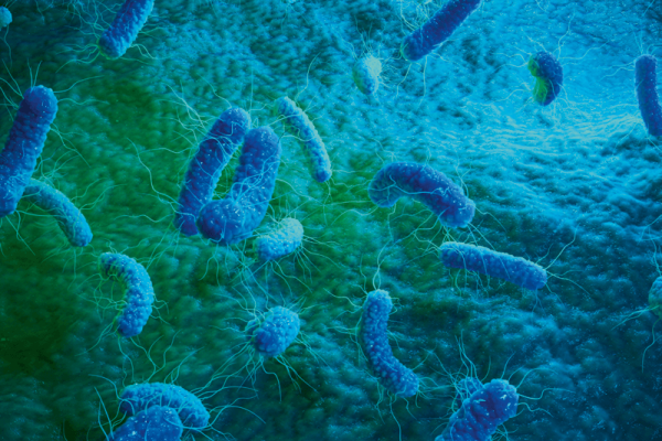 Krónikus Bartonellózis vagy valami más? Keresztreakciók az infektológiában. Antibiotikum toxicitás.